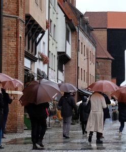 Podróżują w konkretnym celu. Zwiedzanie i wypoczynek nie są najważniejsze