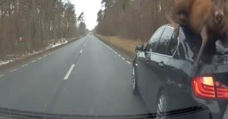 Pułtusk. Kierowca bmw w szoku. Gdyby nie nagranie, nikt by mu nie uwierzył