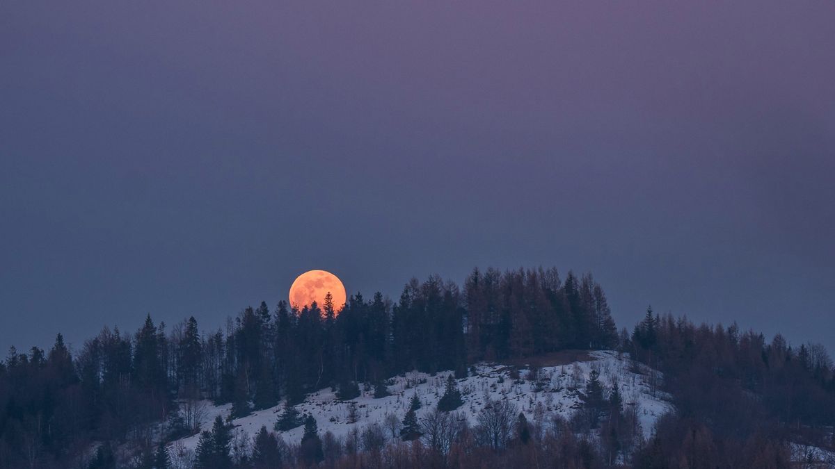 Superksiężyc 2019: Zdjęcia naszych czytelników 1