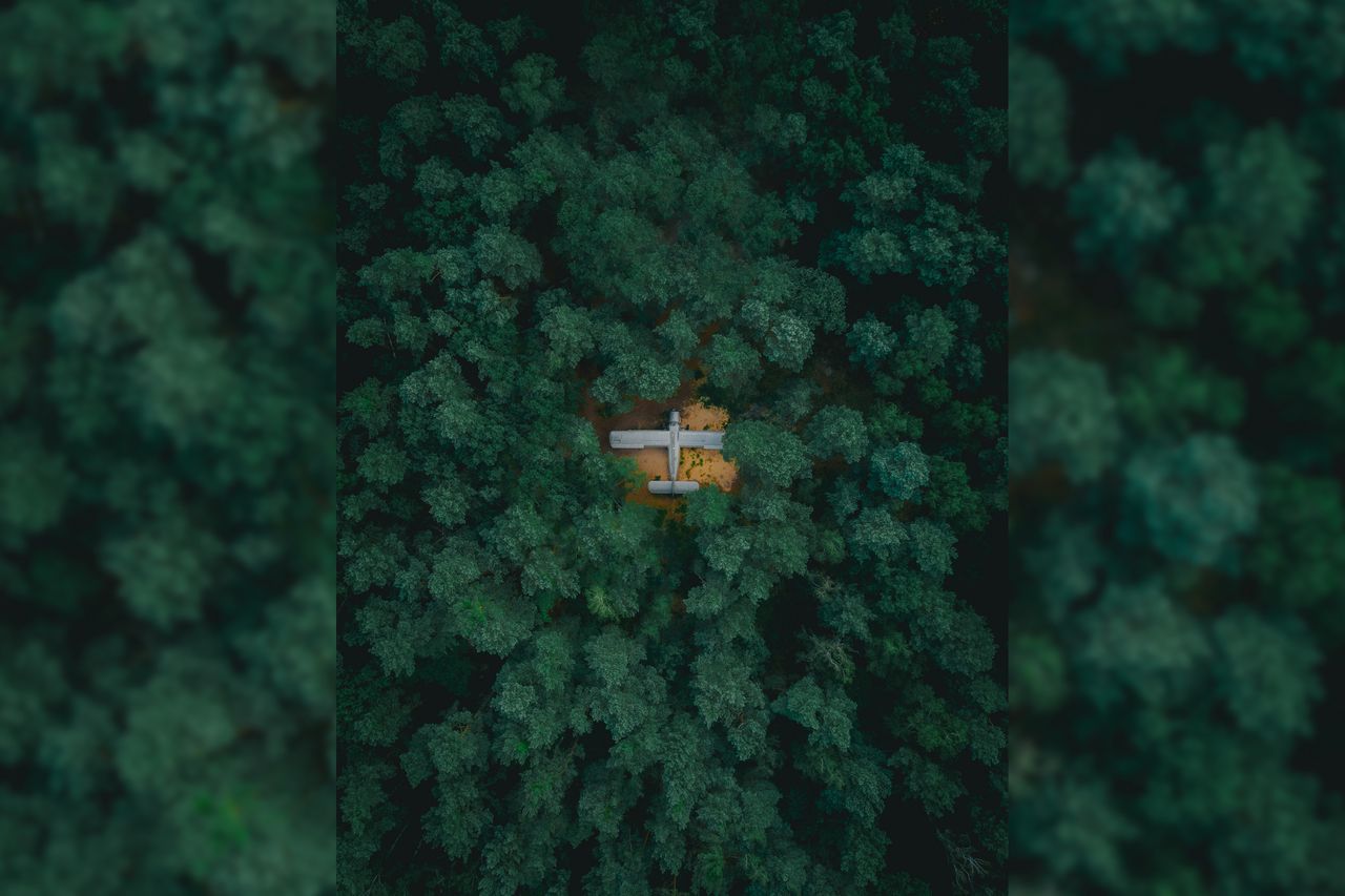 Antonow An-2 ukryty w podwarszawskim lesie. Znalazł go Damian Stęporowski