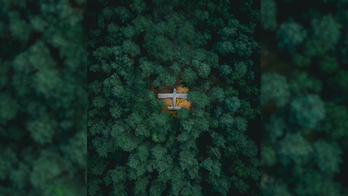 Antonow An-2 ukryty w podwarszawskim lesie. Znalazł go Damian Stęporowski 1