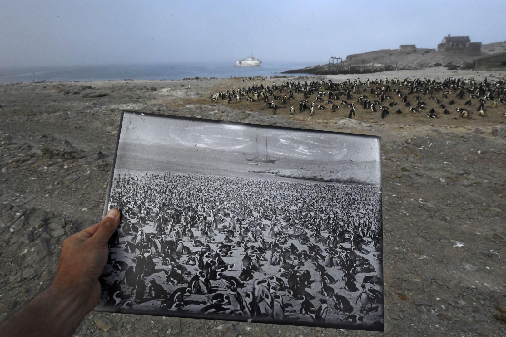Znamy zwycięzcę World Press Photo 2018. Ronaldo Schemidt został Fotografem Roku 17