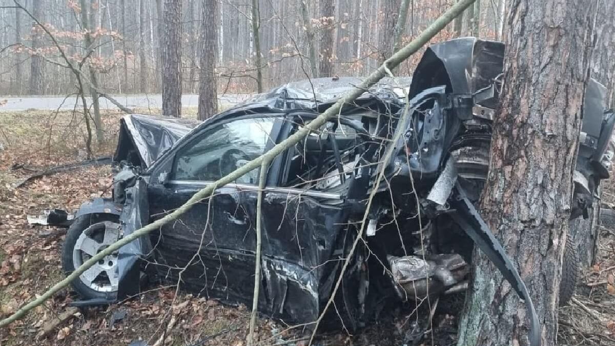 Samochód uderzył w drzewo