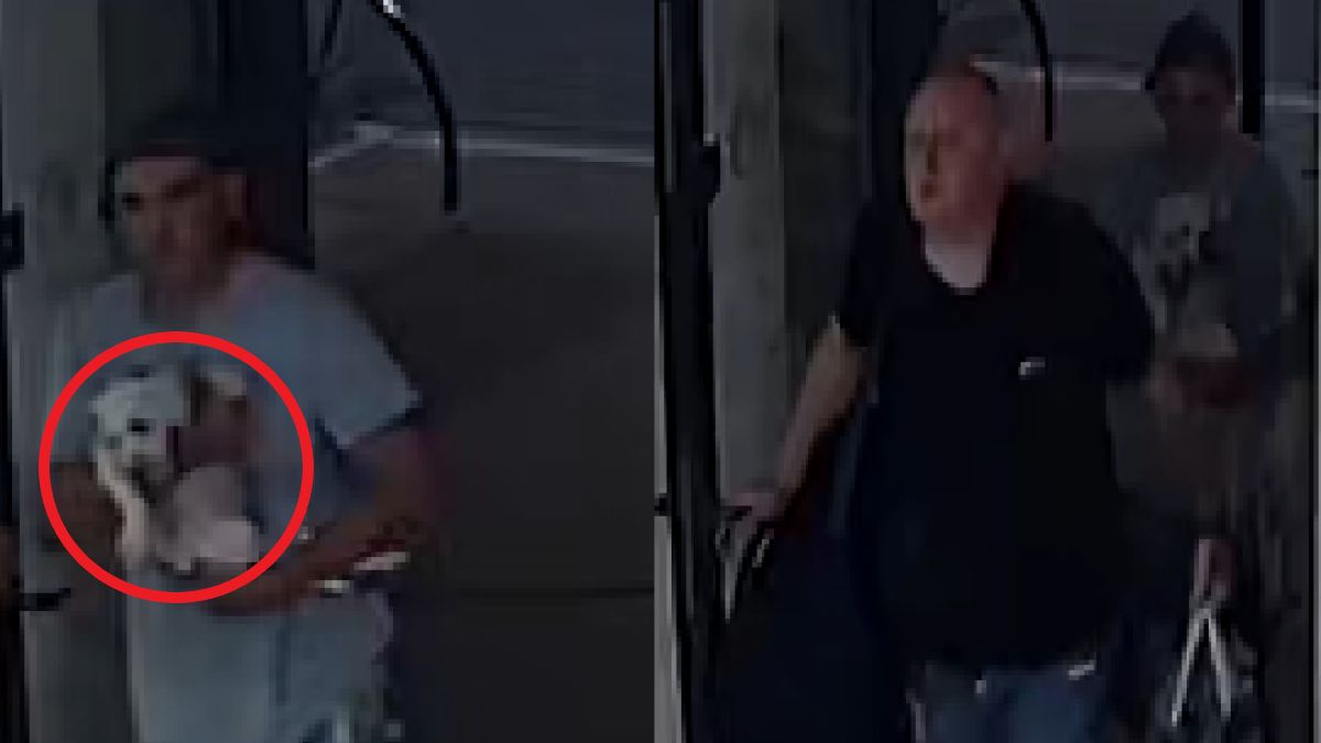 Rozpoznajesz tych mężczyzn? Potraktowali psa w okrutny sposób