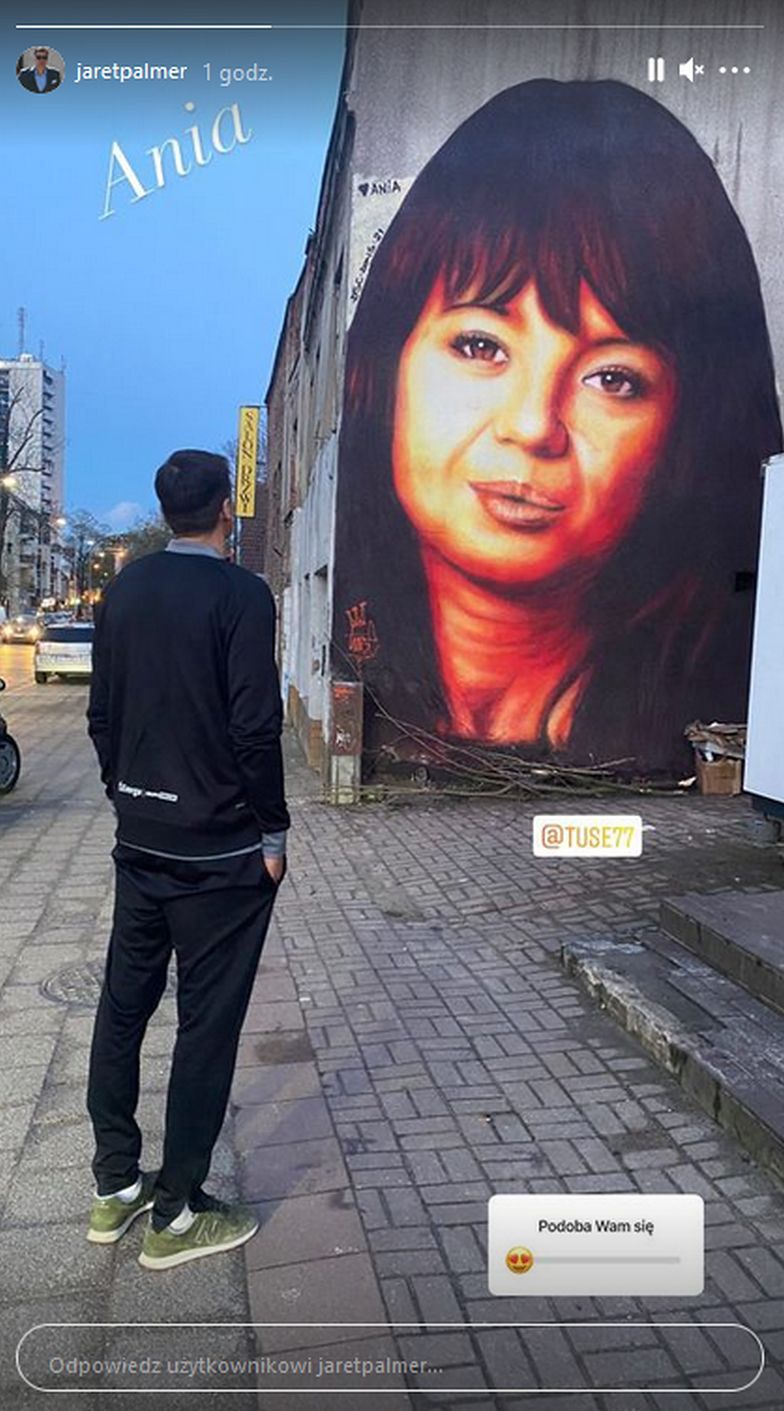 Mural z Anną Przybylską przed poprawkami