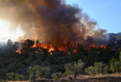 Nowe pożary w Grecji. Są ofiary śmiertelne