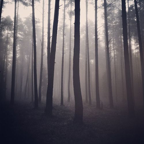 Fotograficzne inspiracje z Instagrama [cz. 2] 24