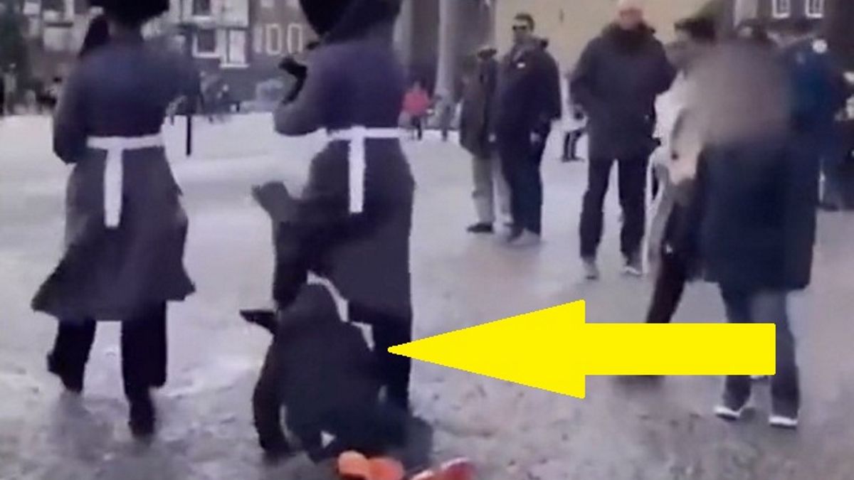 Żołnierze weszli w dziecko