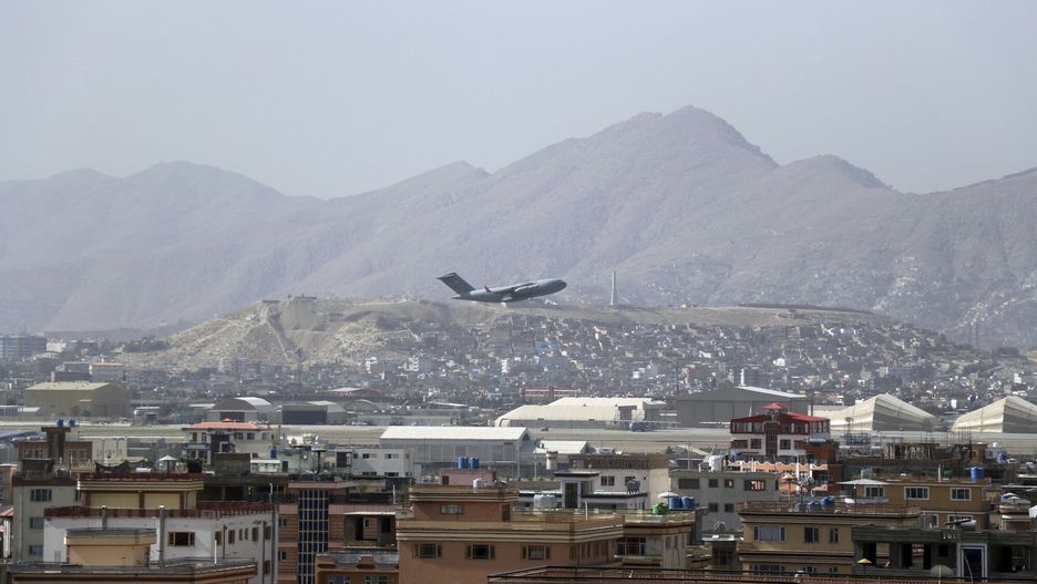 Afganistan. Ewakuowano zwierzęta weterana z Wielkiej Brytanii