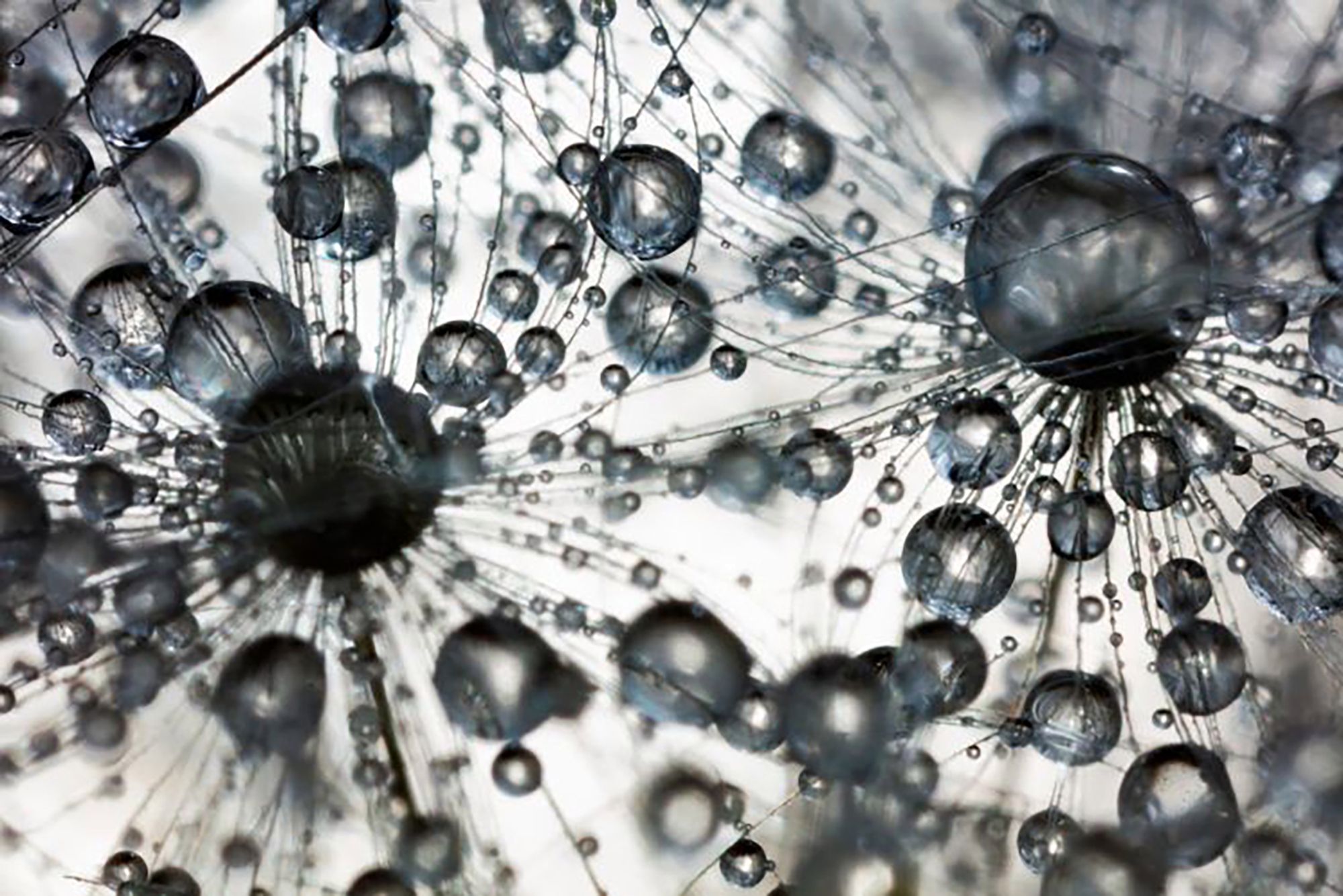 Najpiękniejsze zdjęcia przyrody w konkursie GDT Nature Photographer of the Year 20