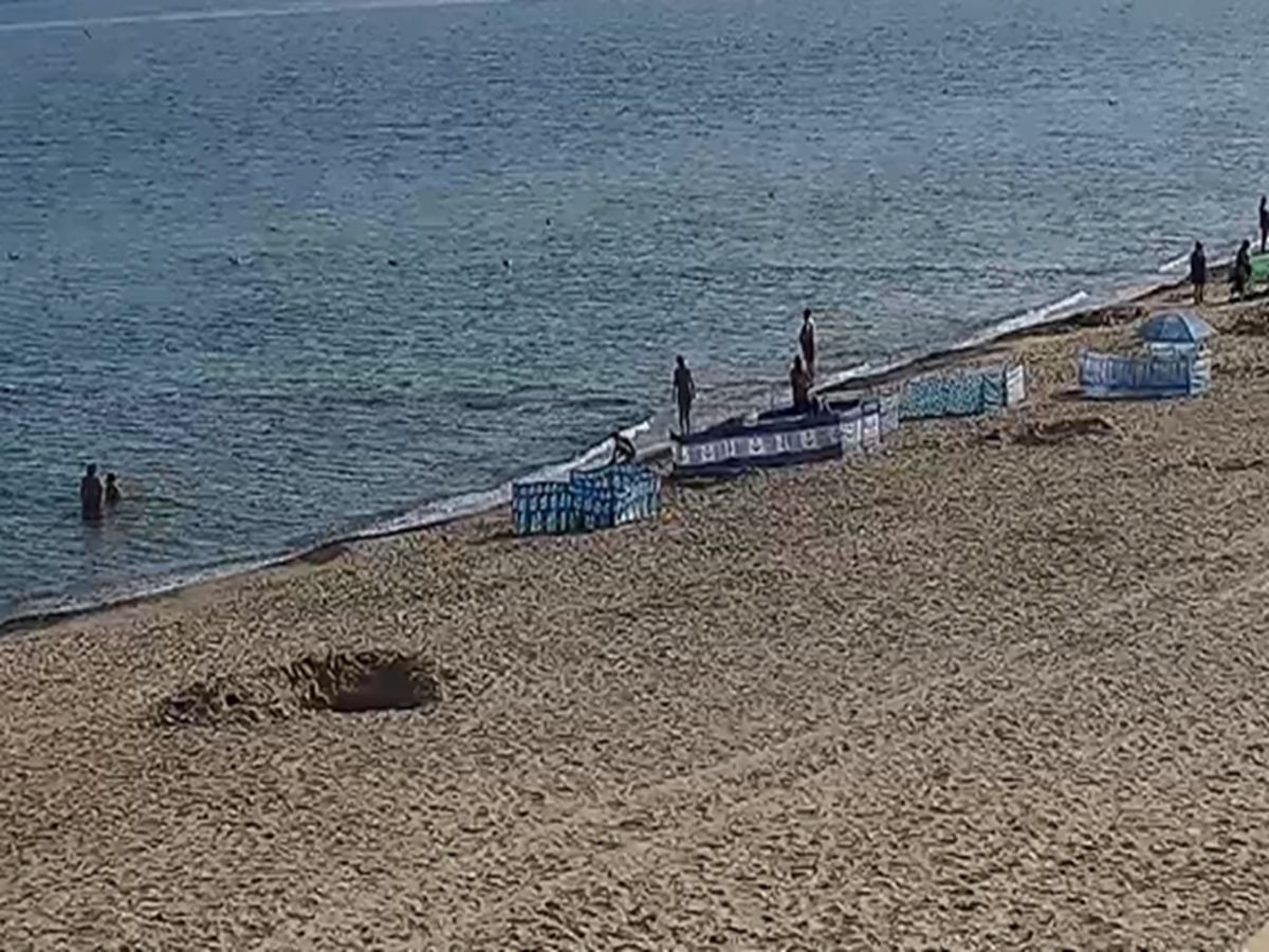 "Królowie plaży" nad Bałtykiem. Zrobili to nad brzegiem