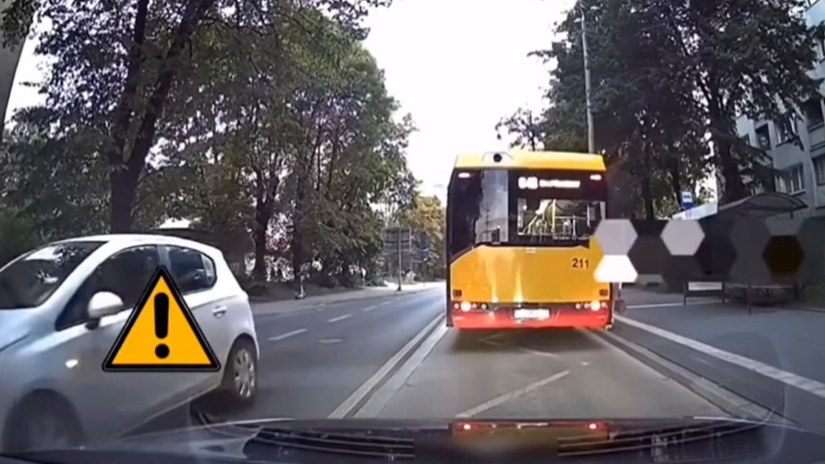 Krótkie nagranie zachwyciło internautów