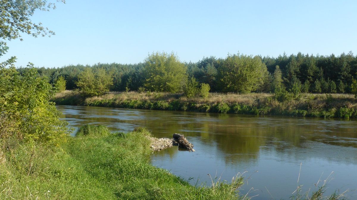 Warta - zdj. ilustracyjne