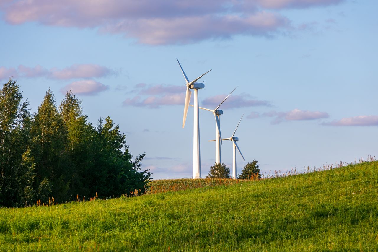 Wiatr na lądzie napędza polski przemysł - buduje krajowy łańcuch dostaw i wzmacnia lokalną gospodarkę