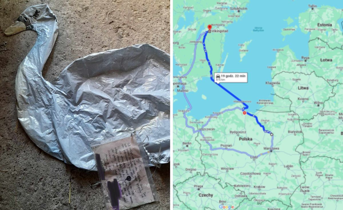 Balon przeleciał prawie 900 kilometrów, pokonując Bałtyk zanim dotarł do lasu w województwie mazowieckim