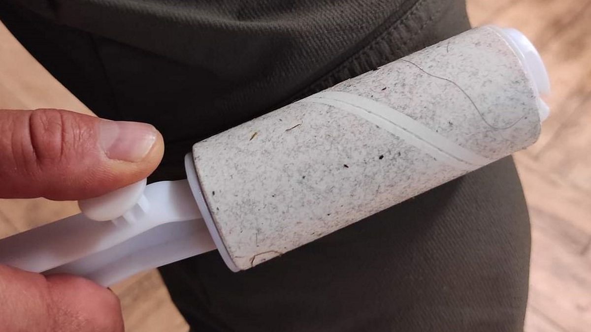 Rolka do czyszczenia ubrań jest sprawdzonym środkiem do usuwania kleszczy z odzieży