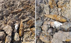 Były ukryte pod ziemią. Groźne znalezisko w gminie Płońsk