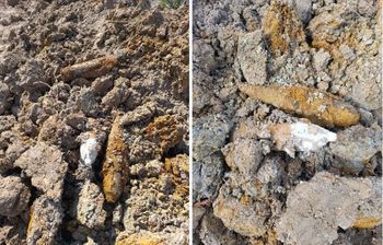 Były ukryte pod ziemią. Groźne znalezisko w gminie Płońsk