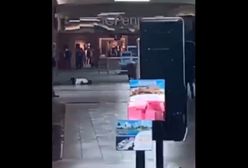 USA. Strzały w centrum handlowym