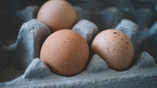 Pilne ostrzeżenie GIS. Salmonella w popularnych jajkach! Ich spożycie może być groźne dla zdrowia. Masz je w domu? Od razu wyrzuć!