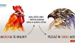Optegra z kampanią „Przejdź na sokoli wzrok"