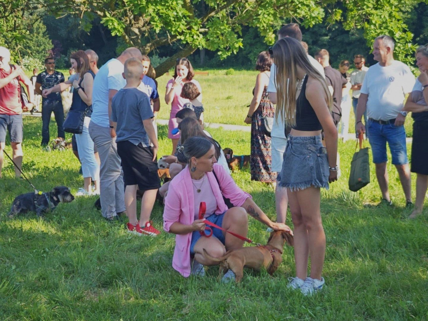III Tarnobrzeska Jamnikówka, spotkanie miłośników jamników, 15 czerwca 2025