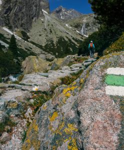 Większość turystów robi ten błąd. Co oznaczają kolory szlaków w górach?