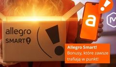 Allegro z odświeżonym Pinterestem. "AI nie zastąpiło nam wizji, ale pomogło"