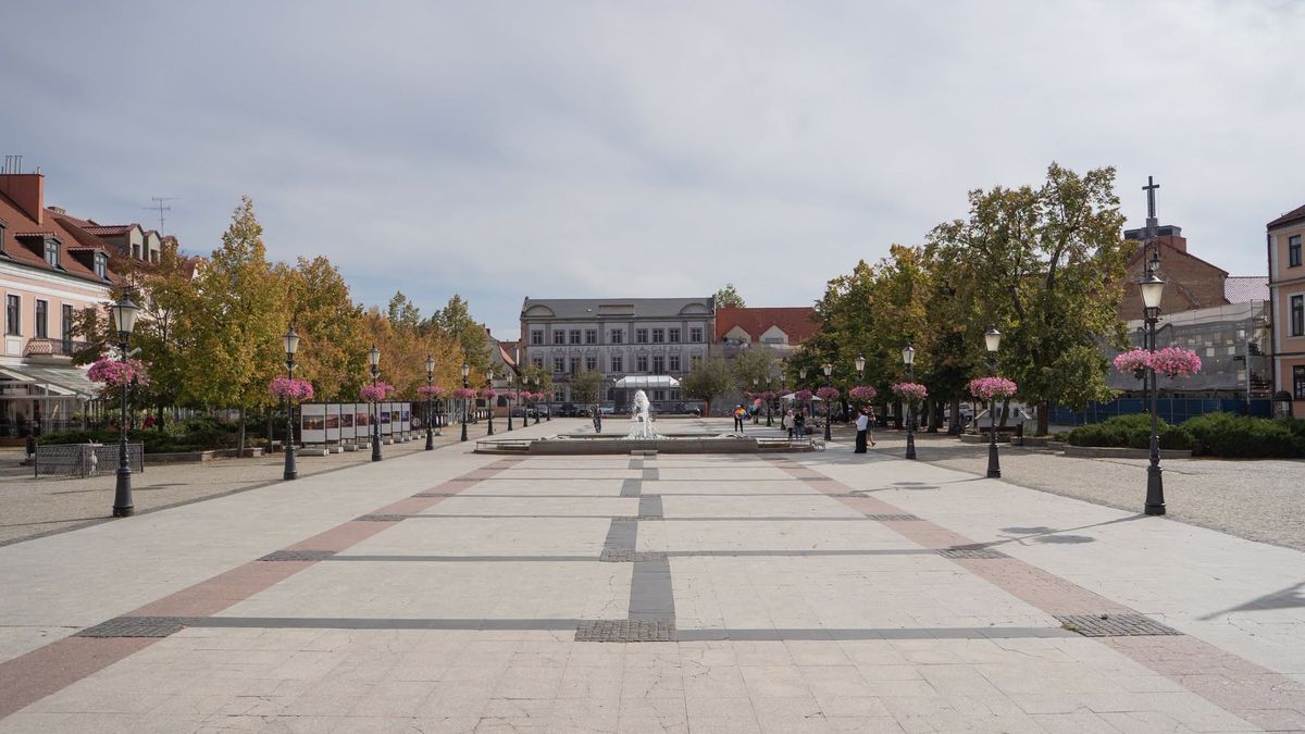 Stary Rynek w Płocku zyska więcej zieleni 