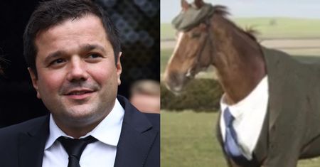 Reporter "Panoramy" zwolniony, bo... nie chciał porównać sędziów Trybunału Konstytucyjnego do konia?!