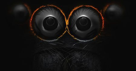Wspaniały świat z bliska, czyli finaliści Nikon’s Small World 2016. Polacy wśród wyróżnionych