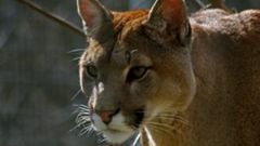 Ćwiczymy kreatywność V 1