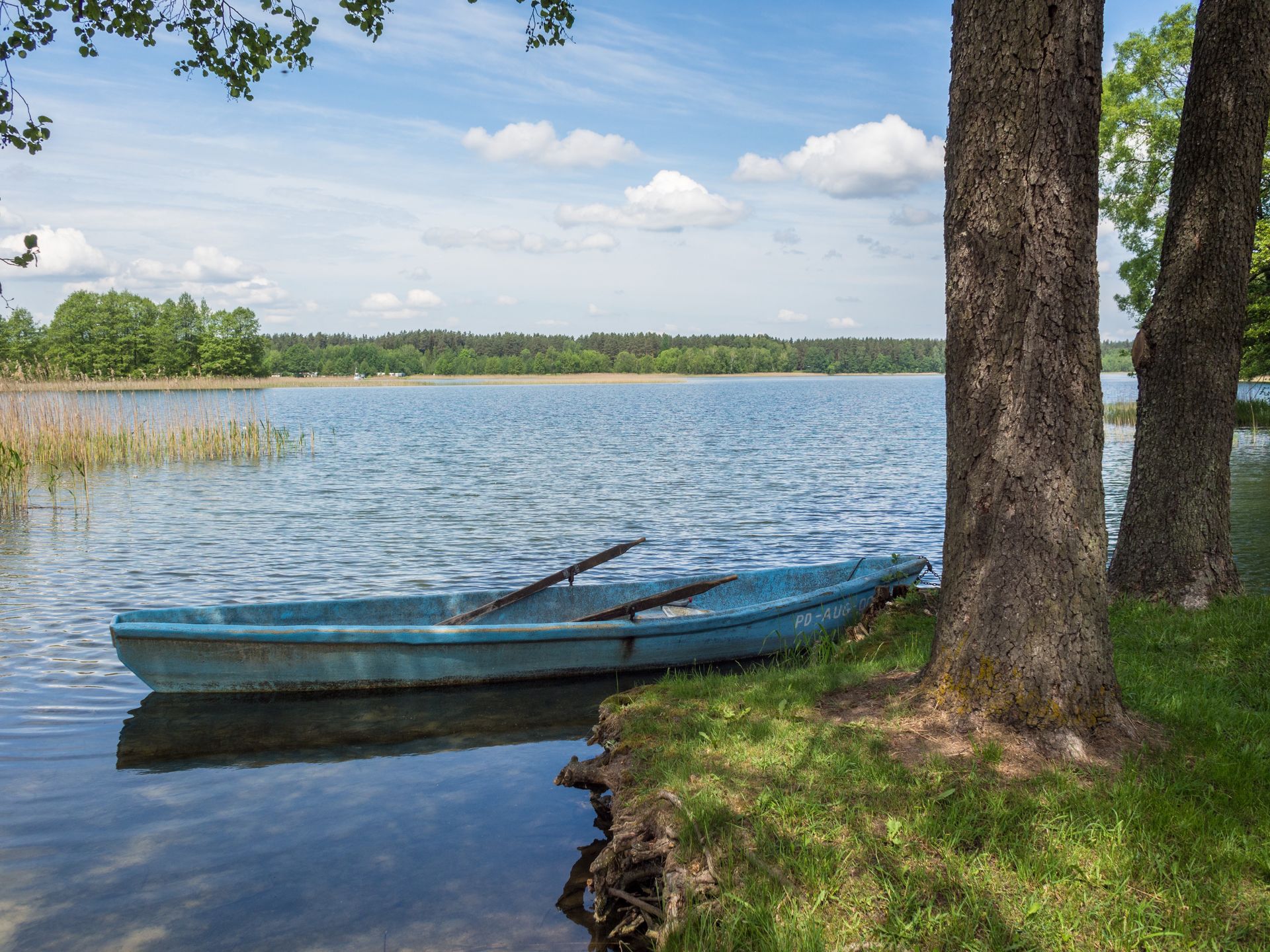 jezioro, cumowanie, woda, serwy, lato, pogoda, weekend, augustów, wypoczynek, przyroda, brzeg, natura