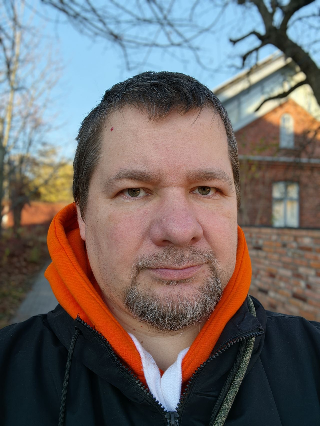 Obraz