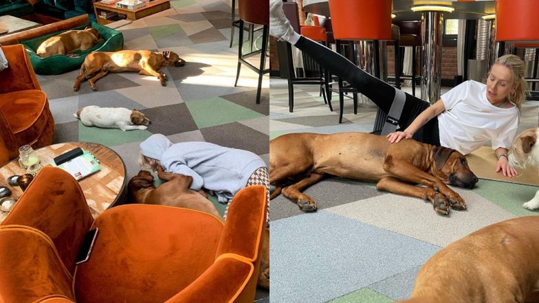 Tak mieszka Agnieszka Woźniak-Starak