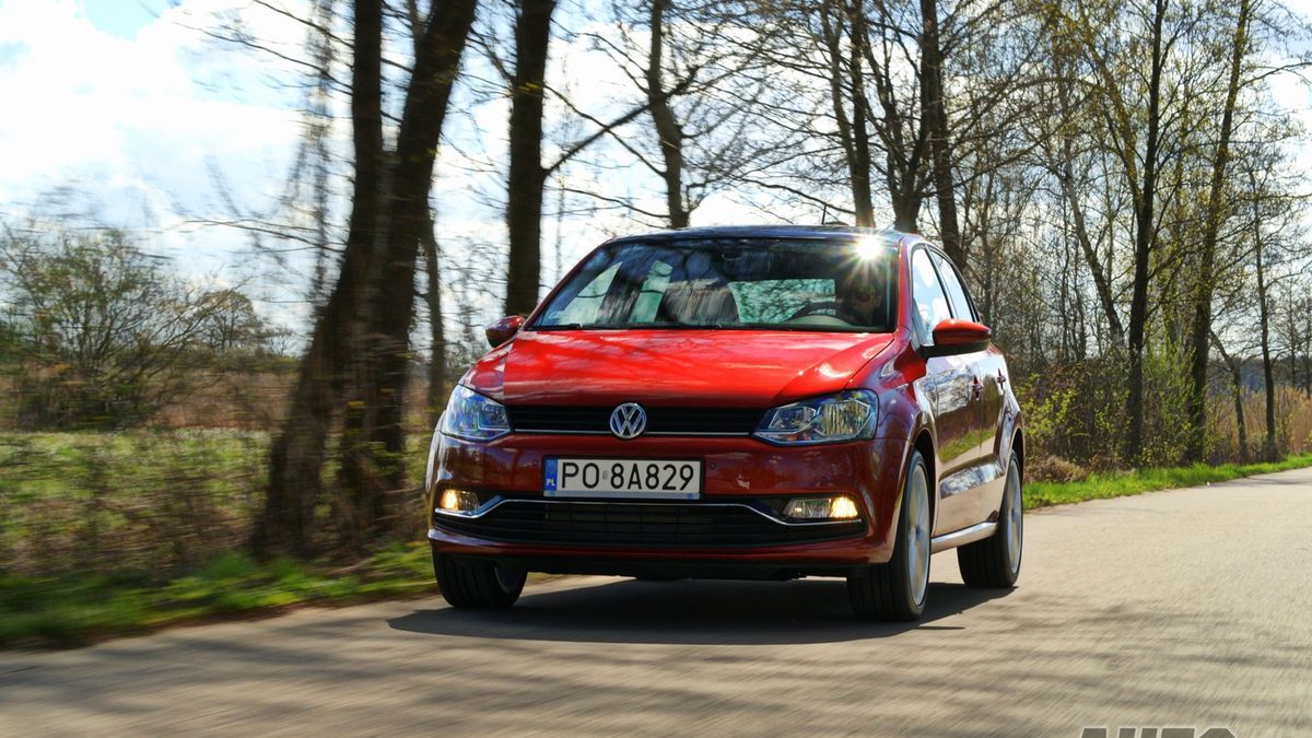 Zdjęcie ilustracyjne do artykułu