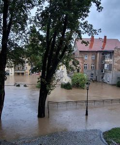 Susza i powódź jednocześnie? Oto Polska w czasach zmiany klimatu