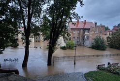 Susza i powódź jednocześnie? Oto Polska w czasach zmiany klimatu