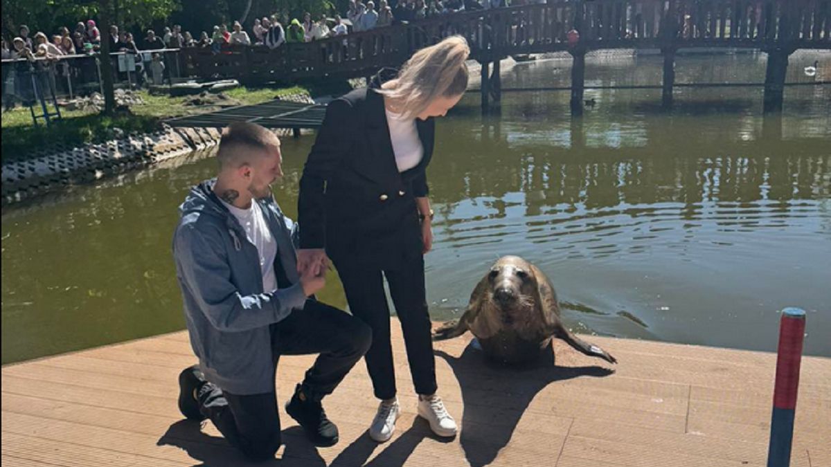 W Zoo miały miejsce nietypowe zaręczyny