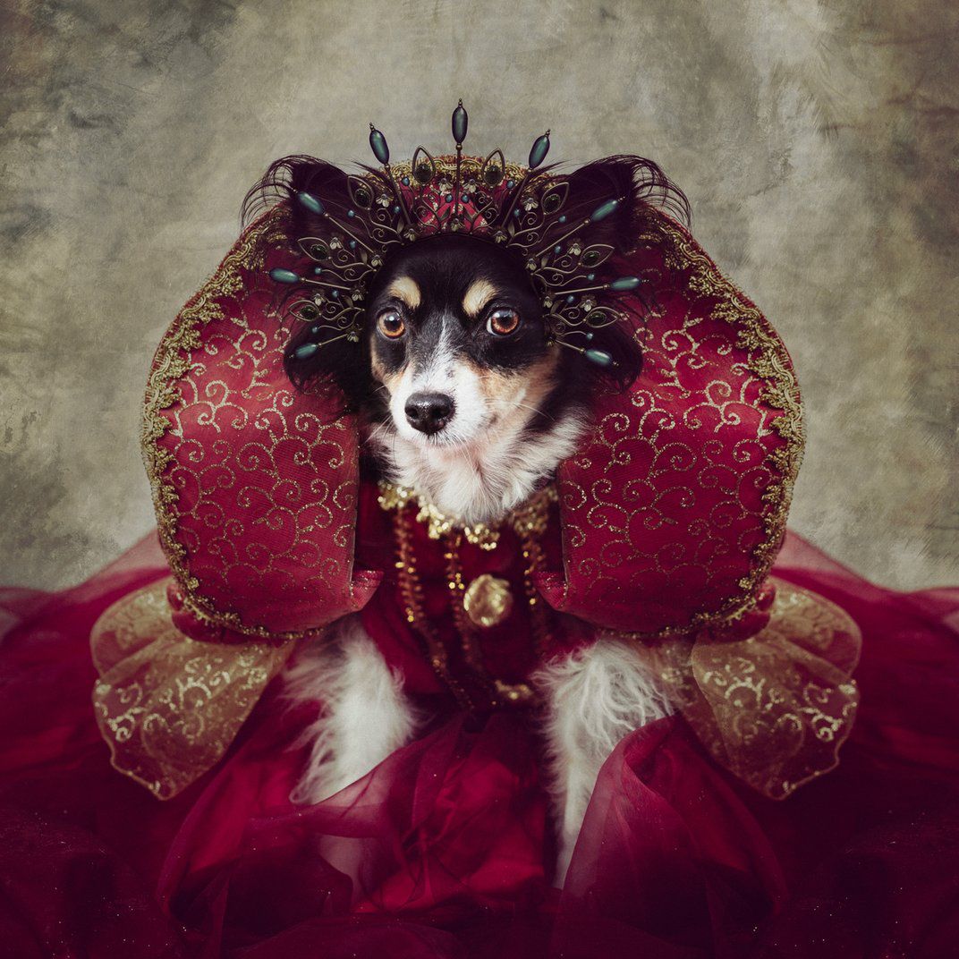 Arek Rataj wśród finalistów konkursu Smithsonian Photo Contest 2016 19