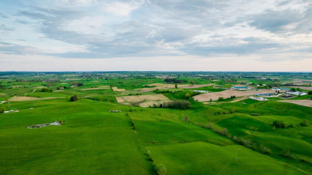 Jak głosowali mieszkańcy pogranicza Polski, Litwy i Rosji?