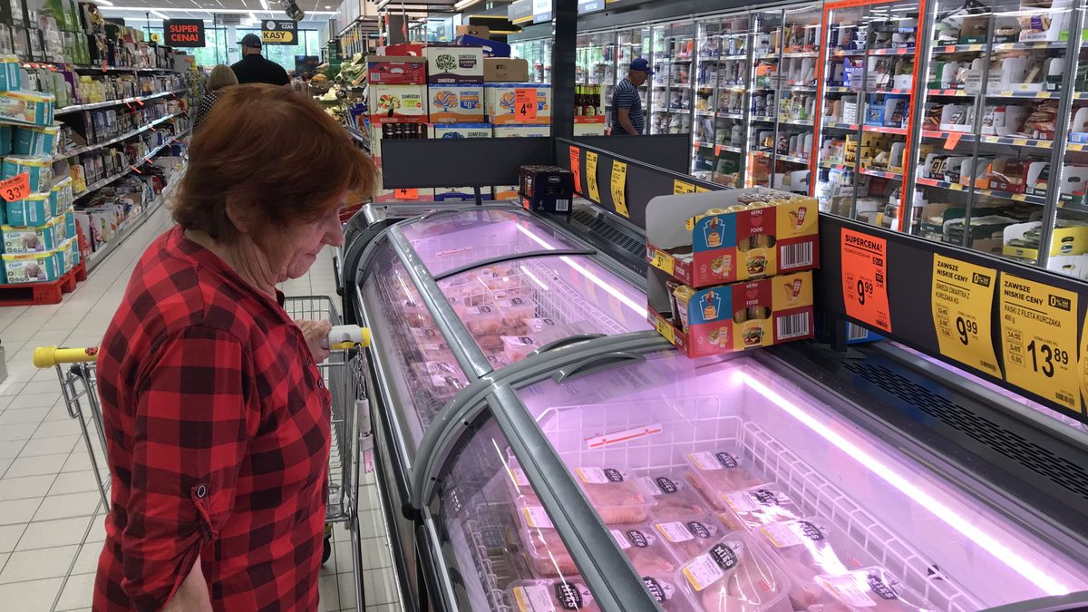 Pani Lucyna z Książenic