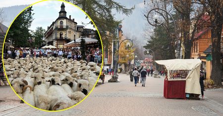 Wyjątkowy widok na Krupówkach. "Coś pięknego!"