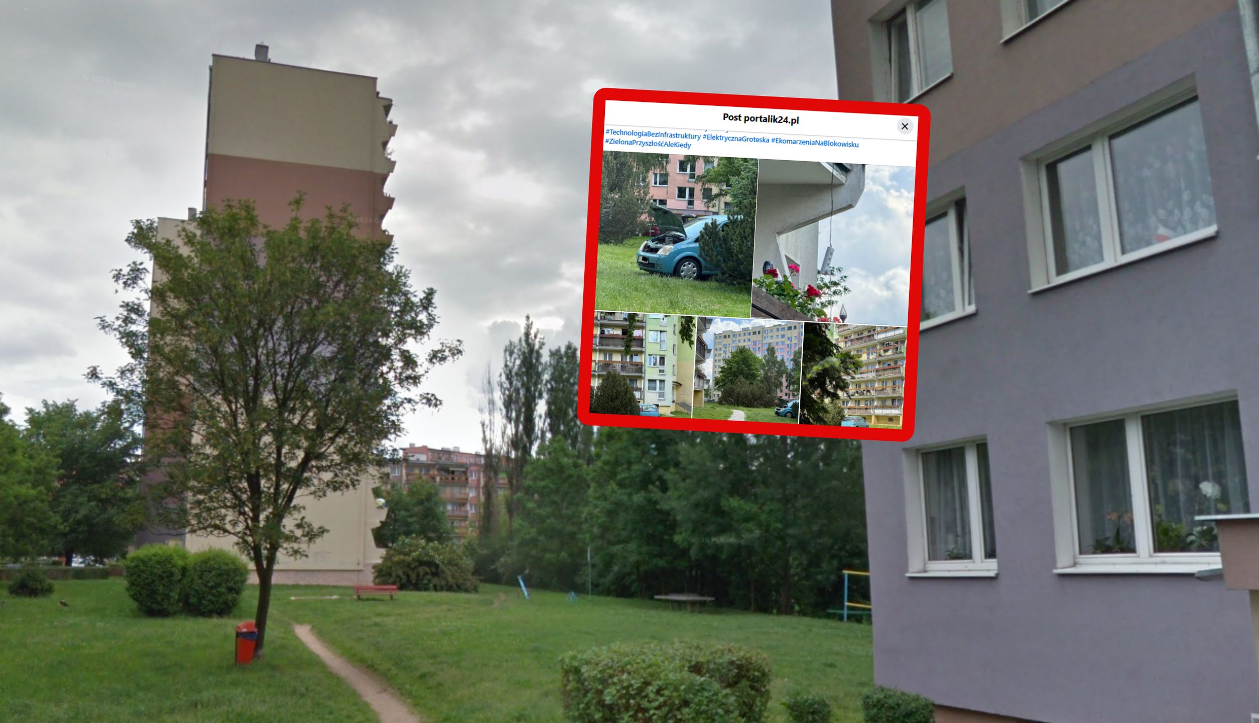 Zaskakujące obrazki w Jeleniej Górze.