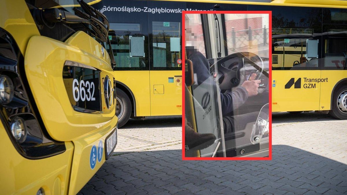 Kierowca oglądał TikToka podczas jazdy. Jest decyzja ZTM