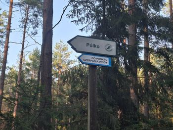 Supraśl: "Pólko" to popularne miejsce bez podstawowych udogodnień