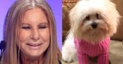 Barbra Streisand wyznaje: "SKLONOWAŁAM PSA... DWUKROTNIE"!