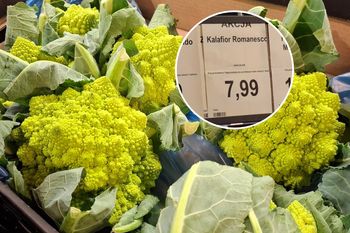 Wygląda jak kaktus, a smakuje lepiej niż brokuł. Niezwykłe warzywo pojawiło się w Aldi