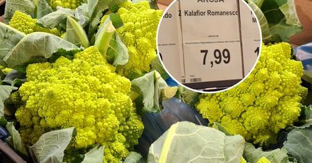 Wygląda jak kaktus, a smakuje lepiej niż brokuł. Niezwykłe warzywo pojawiło się w Aldi