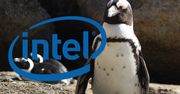 Intel romansuje z Fundacją Linux. Będzie udawać, że zależy mu na prywatności użytkownika